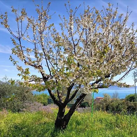 Mansard Alba - Sea 5 Terre-trekking-excursions-relax * 산테렌조
